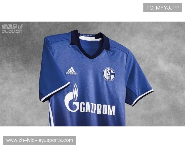 英超球衣臂章类型及官方认证图样