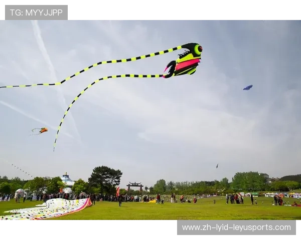 聚焦庐山首届全国风筝精英赛组委会公布工作机构人员选拔通知